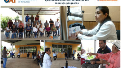 Photo of Desarrolla la UAT proyecto para el aprovechamiento sustentable de los recursos pesqueros