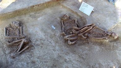 Photo of Obra carretera descubre zona arqueológica en Ocampo