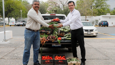 Photo of Recibe DIF Tamaulipas donativo de 213 kilogramos de hortalizas