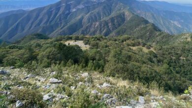 Photo of Recomienda PC Victoria practicar senderismo con responsabilidad
