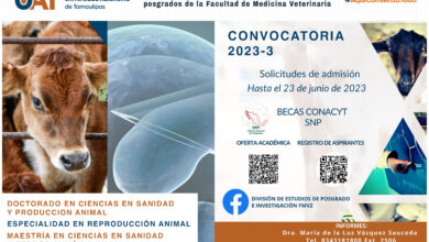 Photo of Anuncia la UAT posgrados en la facultad de Veterinaria