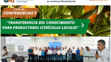 Photo of Capacita la UAT a citricultores en acciones fitosanitarias