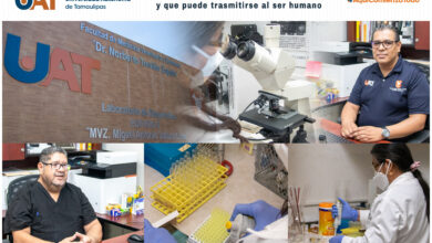 Photo of Analizan bacteria que afecta a los perros y que puede trasmitirse al ser humano