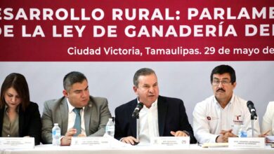 Photo of Avanza ley ganadera con parlamento abierto histórico