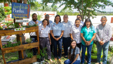 Photo of Cultivan en espacios de la UAT plantas aromáticas y medicinales