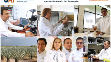 Photo of Buscan revalorizar el uso y aprovechamiento integral del henequén