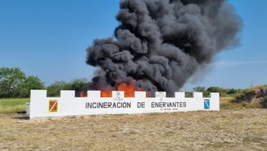 Photo of Incineran casi 2 toneladas de narcóticos en Reynosa