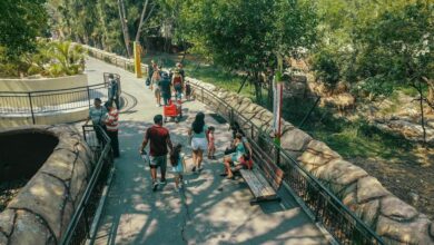 Photo of Disfruta en el Zoológico Tamatán del  “CurZoo 2023”, un verano inolvidable
