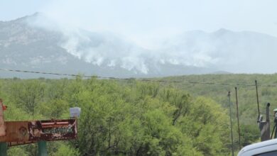 Photo of Incendio arrasa 15 hectáreas del Cerro del Diente en San Carlos