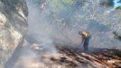 Photo of Extinguen incendio forestal en San Carlos
