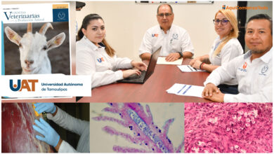 Photo of La UAT lanza la primera edición de la revista Ciencias Veterinarias y Producción Animal
