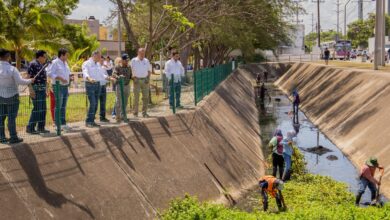 Photo of Supervisa Adrián Oseguera trabajos de limpieza en Madero