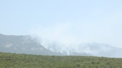 Photo of Incendios forestales arrasan mil hectáreas en Tamaulipas