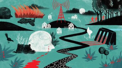 Photo of Sergio Rivera: cinco años de impunidad ante la desaparición del defensor de los ríos