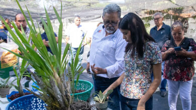 Photo of Promueve UAT el cultivo y conservación de orquídeas