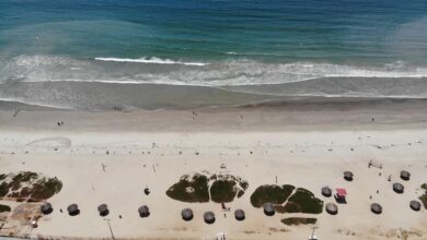 Photo of Buscará Tamaulipas atraer turistas de la Ciudad de México