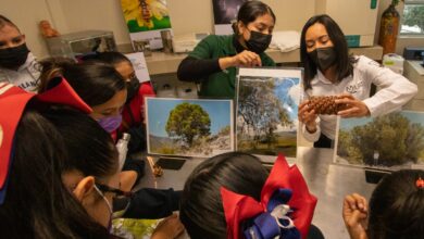Photo of Destaca la UAT incremento de docentes en el Sistema Nacional de Investigadores