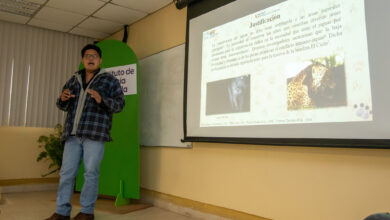 Photo of Estudia UAT poblaciones de jaguar en corredor biológico tamaulipeco