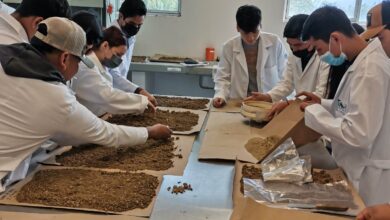 Photo of Desarrolla la UAT un proyecto para evaluar los residuos contaminantes de agroquímicos en el suelo