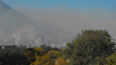 Photo of Estudia la UAT el impacto de la urbanización y contaminación en la vegetación en México