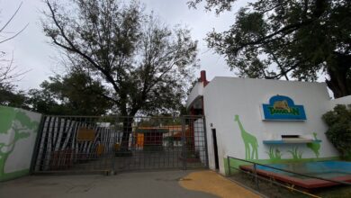 Photo of Ante las bajas temperaturas cierran Zoo y Parque Tamatán martes y miércoles