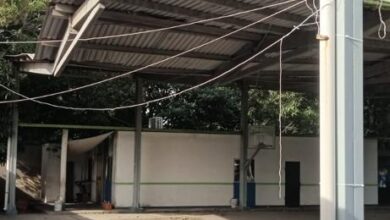 Photo of Restaurará ITIFE escuelas del sur afectadas por vientos