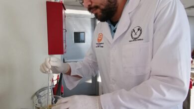 Photo of Identifica UAT plantas con potencial bioinsecticida