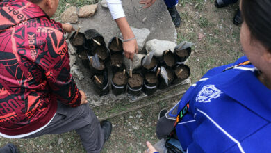 Photo of Inician niñas y niños travesía ambiental con viveros escolares