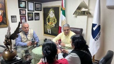 Photo of En riesgo elección en Tamaulipas por inseguridad: IP