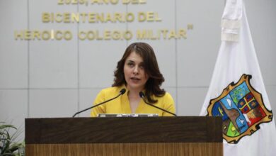 Photo of Propone Nayeli Lara clínicas veterinarias públicas en Tamaulipas