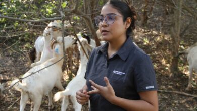 Photo of Analiza UAT innovaciones de mejoramiento para la producción caprina
