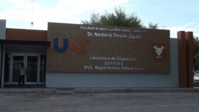 Photo of Aumenta Facultad de Veterinaria de la UAT matricula del programa de posgrado