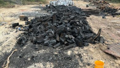 Photo of Aseguran tres toneladas de carbón y hornos clandestinos en Padilla