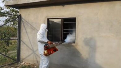 Photo of ¡Cuidado con los moscos! van 42 casos de dengue en Tamaulipas