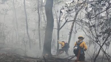 Photo of Incendio en sierra de Hidalgo no pone en peligro a pobladores: PC