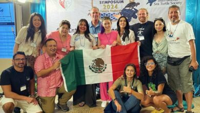 Photo of Investigadora de la UAT presenta en Tailandia estudio genético de las tortugas carey