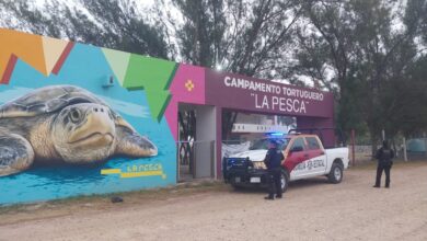 Photo of Refuerza vigilancia en campamento tortuguero de La Pesca