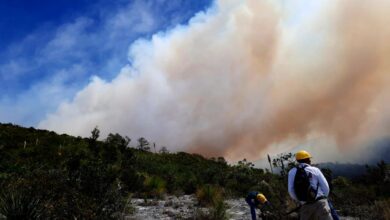 Photo of Extinguidos dos incendios forestales en Tamaulipas, tras esfuerzos coordinados