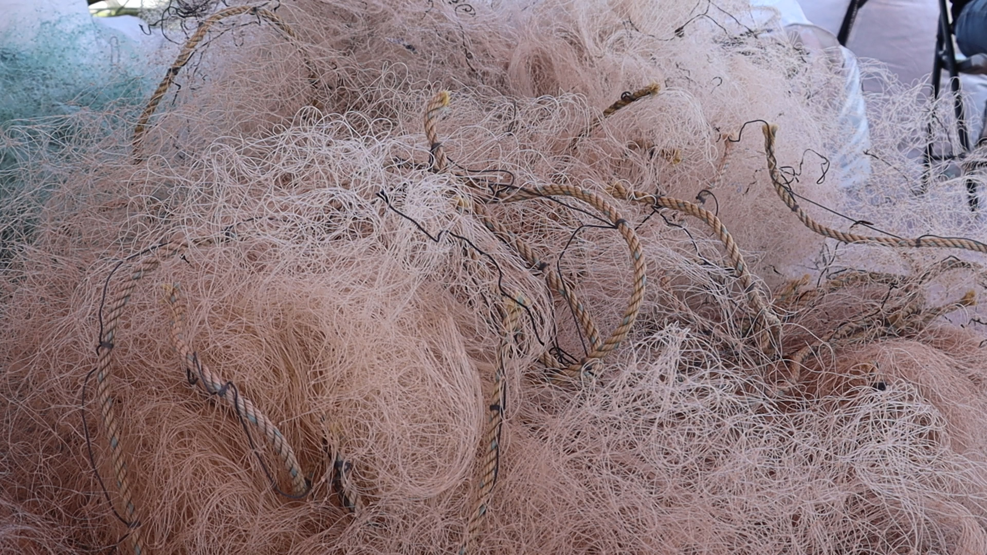 Red camaronera utilizada en el puerto de San Felipe, esta es una de las redes más comunes y con la que especies marinas quedan atoradas en la pesca incidental. Crédito: Luis Madrid / Animal Político.
