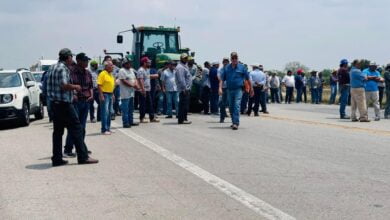 Photo of Recibirán productores tamaulipecos de sorgo precios justos