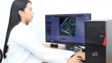 Photo of Egresada de la UAT iniciará su doctorado en la Universidad de Florida