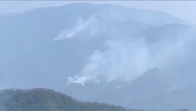 Photo of Controlan 55% de incendio en el Cañón de El Novillo