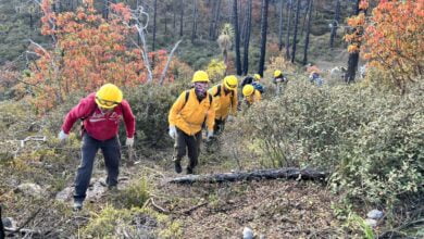 Photo of Refuerzan coordinación Estado y Federación para combatir incendio forestal