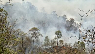 Photo of Avanza incendio en la sierra de Victoria