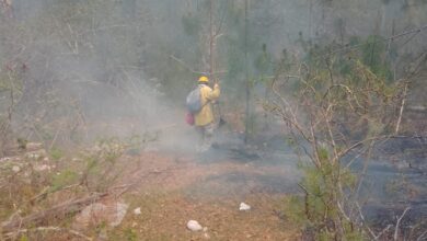 Photo of Continúa combate del incendio en el Cañón del Novillo
