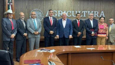 Photo of Esta semana habrá respuesta para sorgueros de Tamaulipas