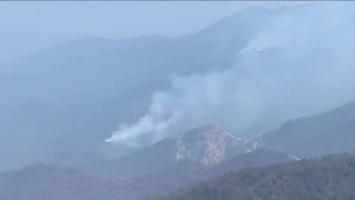 más de 3 mil 500 hectáreas de la Sierra de Victoria fueron arrasadas por el incendio.