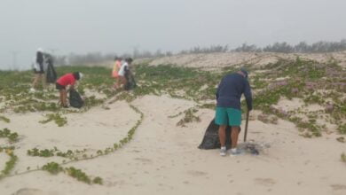 Photo of Iniciativa privada se suma a limpieza de Playa Miramar