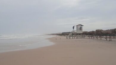 Photo of Exhorta Adrián Oseguera a seguir recomendaciones por tormenta Alberto