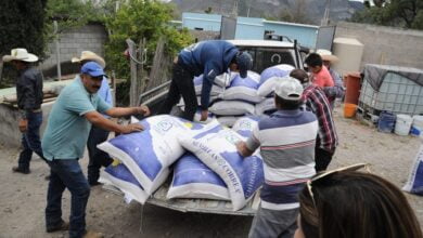 Photo of Reciben productores del Altiplano semilla de avena forrajera